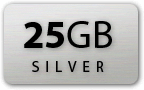 25GB Silver Plan